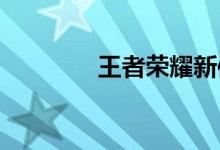 王者榮耀新體育動(dòng)作有哪些