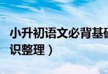 小升初語(yǔ)文必背基礎(chǔ)知識(shí)(小升初語(yǔ)文必背知識(shí)整理)