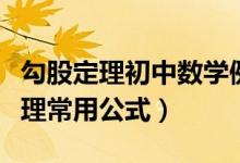 勾股定理初中數(shù)學(xué)例題講解(初中數(shù)學(xué)勾股定理常用公式)