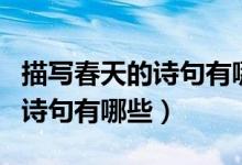 描寫春天的詩(shī)句有哪些請(qǐng)寫出來(lái)（描寫春天的詩(shī)句有哪些）