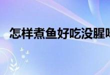 怎樣煮魚好吃沒(méi)腥味竅門（怎樣煮魚好吃）