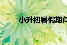 小升初暑假期間如何預(yù)習(xí)初一語文