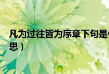 凡為過(guò)往皆為序章下句是什么(凡為過(guò)往皆為序章是什么意思)