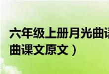 六年級(jí)上冊(cè)月光曲語(yǔ)文課文講解（人教版月光曲課文原文）