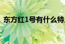 東方紅1號有什么特點（東方紅一號的特點）