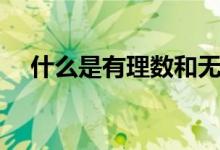 什么是有理數(shù)和無(wú)理數(shù)(什么是有理數(shù))