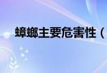 蟑螂主要危害性(蟑螂的危害性有多大)