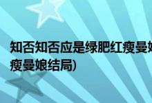 知否知否應是綠肥紅瘦曼娘第幾集下線(知否知否應是綠肥紅瘦曼娘結(jié)局)