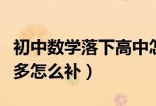 初中數(shù)學(xué)落下高中怎么補(bǔ)(初中數(shù)學(xué)落下了很多怎么補(bǔ))