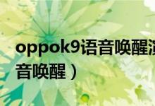 oppok9語(yǔ)音喚醒演示（oppok9怎么開(kāi)啟語(yǔ)音喚醒）