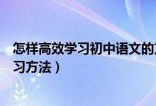 怎樣高效學習初中語文的方法詳解（初中語文有什么高效學習方法）