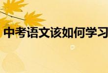 中考語(yǔ)文該如何學(xué)習(xí)（中考語(yǔ)文該如何學(xué)習(xí)）