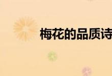 梅花的品質詩句(梅花的品質)