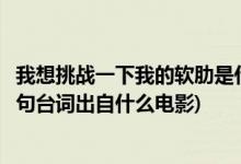 我想挑戰(zhàn)一下我的軟肋是什么電影(我想挑戰(zhàn)一下我的軟肋這句臺(tái)詞出自什么電影)