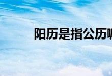 陽(yáng)歷是指公歷嘛（陽(yáng)歷是公歷嗎）