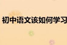 初中語文該如何學習（初中語文該如何學習）