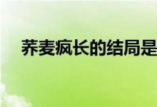 蕎麥瘋長(zhǎng)的結(jié)局是什么(蕎麥瘋長(zhǎng)的結(jié)局)