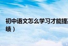 初中語文怎么學(xué)習(xí)才能提高成績(jī)（初中語文怎么學(xué)能提高成績(jī)）