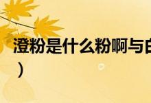 澄粉是什么粉啊與白粘粉區(qū)別(澄粉是什么粉)