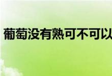 葡萄沒(méi)有熟可不可以吃（葡萄沒(méi)熟可以吃嗎）