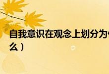 自我意識(shí)在觀念上劃分為什么（自我意識(shí)在觀念上劃分為什么）