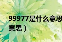 99977是什么意思網(wǎng)絡(luò)語(yǔ)言(99977是什么意思)