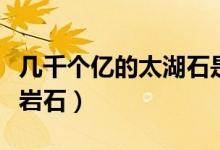 幾千個(gè)億的太湖石是什么樣子（太湖石是什么巖石）