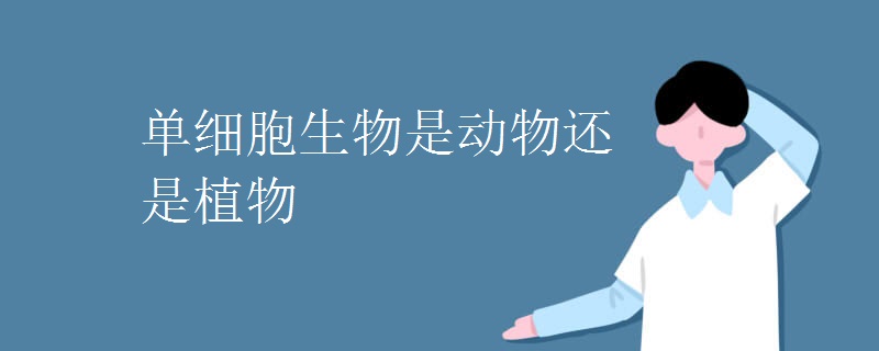 單細胞生物是動物還是植物