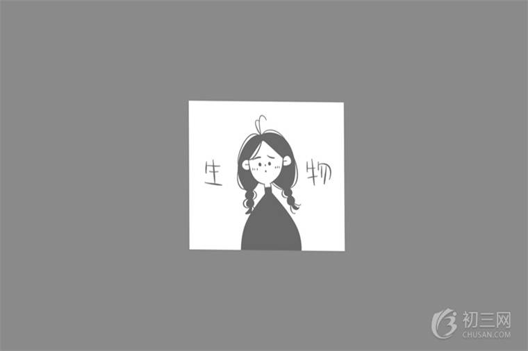 細胞器的結(jié)構(gòu)和功能有哪些
