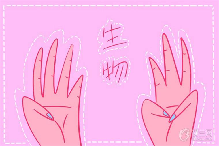 細胞核的結(jié)構(gòu)和功能 細胞核的主要功能是什么