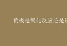 中考快訊:負(fù)極是氧化反應(yīng)還是還原反應(yīng)