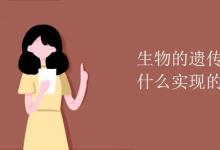 中考快訊：生物的遺傳和變異是通過什么實(shí)現(xiàn)的