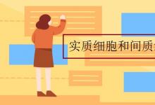 中考快訊：實質(zhì)細胞和間質(zhì)細胞的區(qū)別