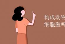 中考快訊：構(gòu)成動物體的細(xì)胞有細(xì)胞壁嗎