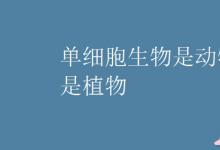 中考快訊：單細(xì)胞生物是動物還是植物