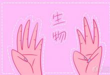 中考快訊:細(xì)胞核的結(jié)構(gòu)和功能 細(xì)胞核的主要功能是什么