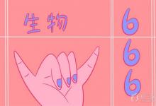 中考快訊:初中生物高效的學(xué)習(xí)方法與建議