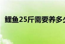 鯉魚(yú)25斤需要養(yǎng)多少年（鯉魚(yú)能活多少年）