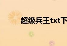 超級兵王txt下載的搜索數(shù)據(jù)展示