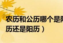 農(nóng)歷和公歷哪個(gè)是陰歷哪個(gè)是陽(yáng)歷(公歷是陰歷還是陽(yáng)歷)