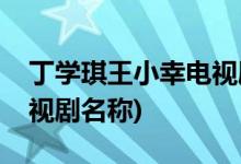 丁學(xué)琪王小幸電視劇叫什么(丁學(xué)琪王小幸電視劇名稱(chēng))