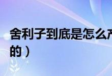 舍利子到底是怎么產(chǎn)生的(舍利子是怎么形成的)