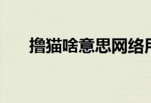 擼貓啥意思網(wǎng)絡(luò)用語(擼貓什么意思)