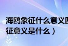 海鷗象征什么意義四字成語(yǔ)（海鷗的特點(diǎn)和象征意義是什么）