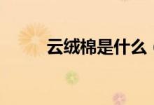 云絨棉是什么（云絨是什么材料）