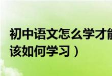 初中語(yǔ)文怎么學(xué)才能快速提高成績(jī)（中考語(yǔ)文該如何學(xué)習(xí)）