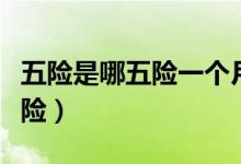 五險(xiǎn)是哪五險(xiǎn)一個(gè)月要交多少錢(qián)(五險(xiǎn)是哪五險(xiǎn))