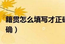 籍貫怎么填寫(xiě)才正確甘肅(籍貫怎么填寫(xiě)才正確)