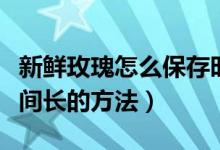 新鮮玫瑰怎么保存時間長點（玫瑰鮮花保存時間長的方法）