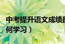 中考提升語(yǔ)文成績(jī)最快的方法（中考語(yǔ)文該如何學(xué)習(xí)）
